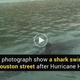 This shark seems to appear on social media during any major rain event, but Snopes first debunked this image in 2011. (Image: Snopes)